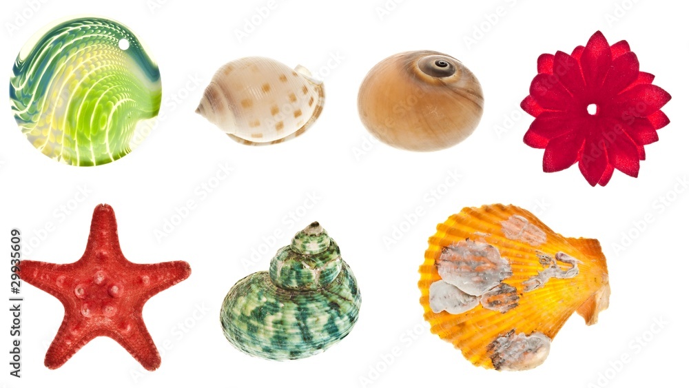 Collage of sea objects Collage of sea objects