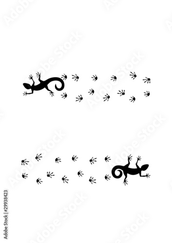 Lizards and traces. Vector illustration