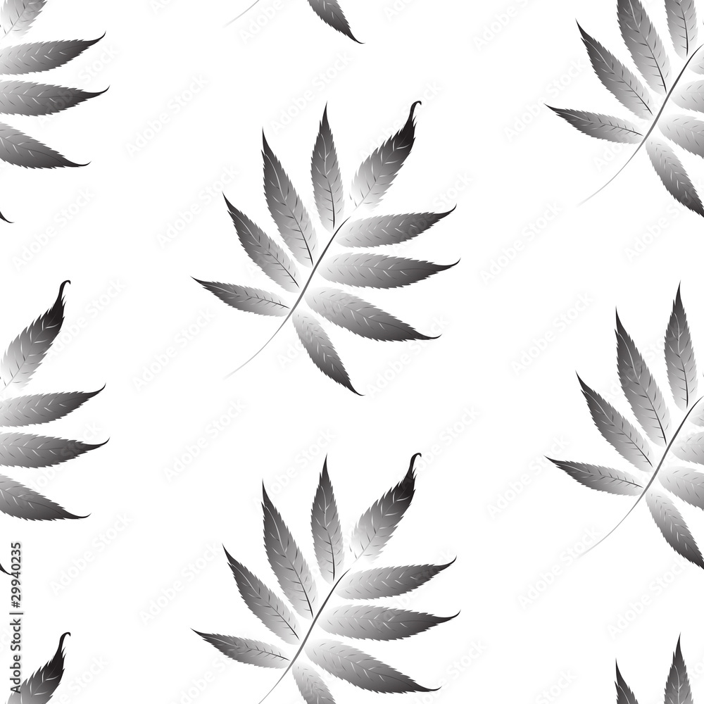 Wallpaper with curling leaves of a plant Wallpaper with curling leaves of a plant