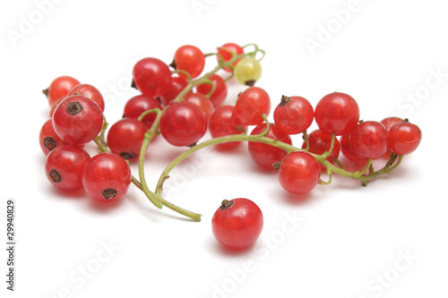 Red currant isolated