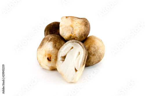 straw mushroom on white background