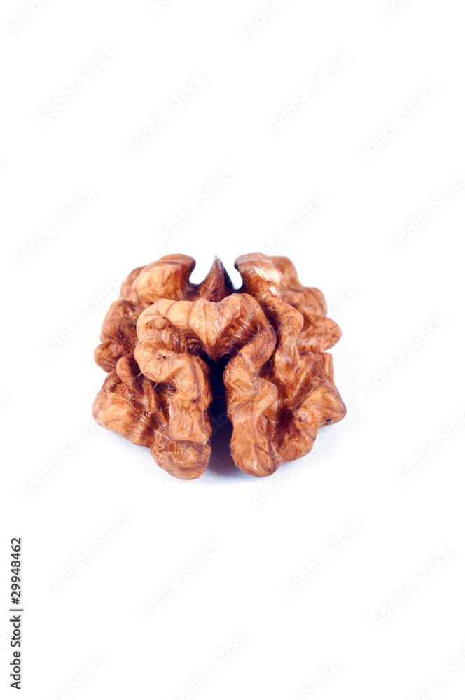 nut nut