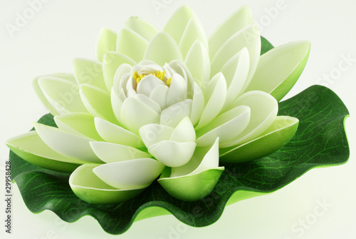 Papier peint fleur blanche de lotus