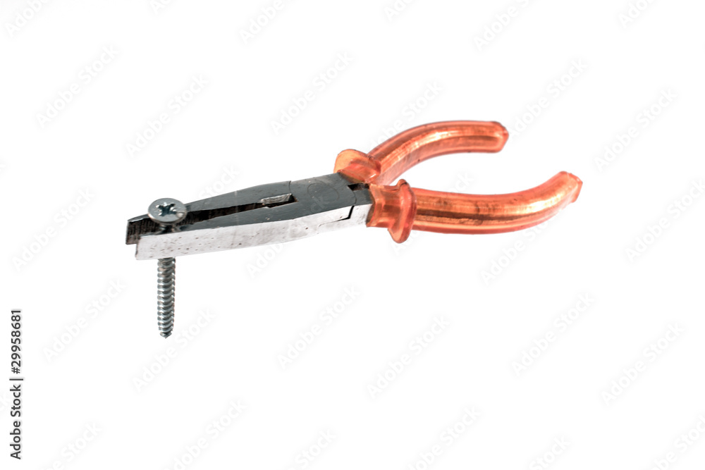 Fototapeta premium pinza