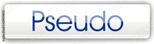 bouton pseudo