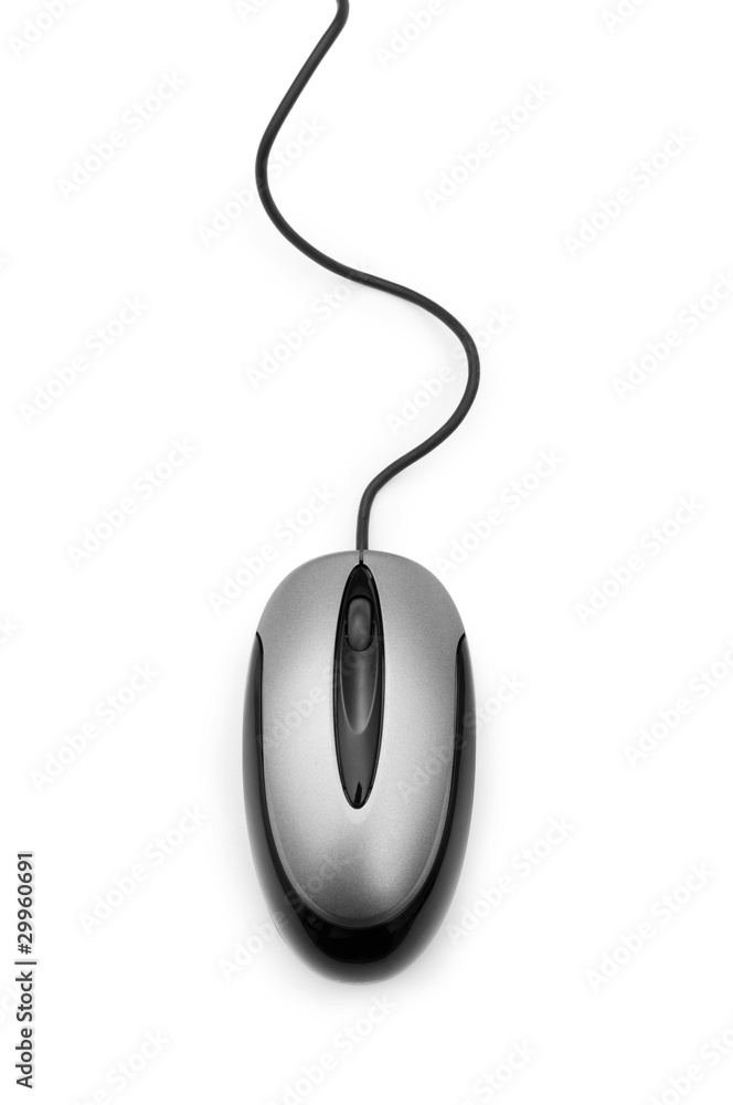 Computer mouse isolated on the white background Computer mouse isolated on the white background