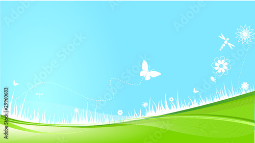 libellules et papillons