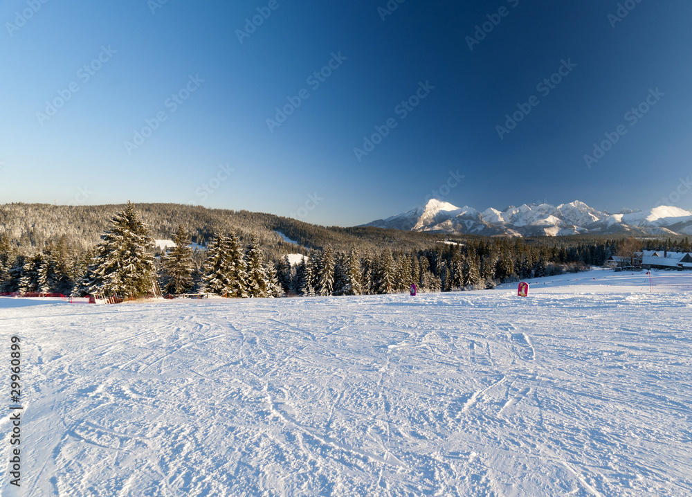 Fototapeta premium Małe Ciche