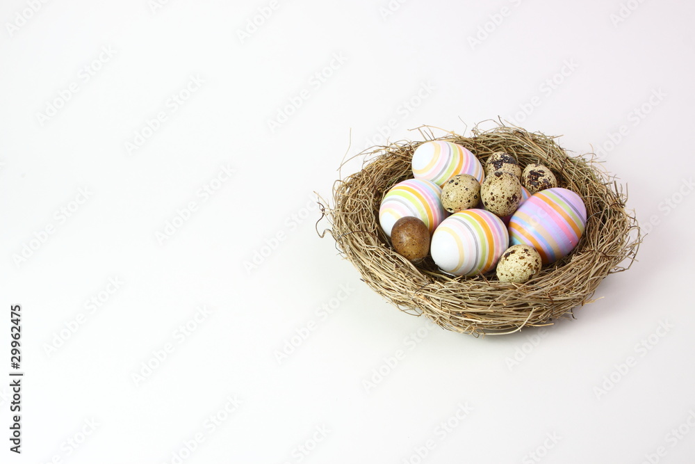Obraz premium Ostern einige Eier im Nest