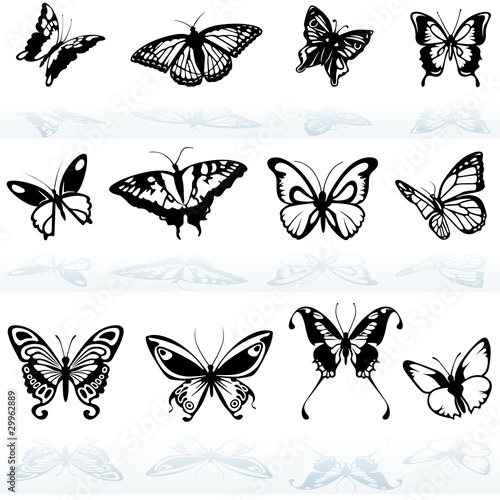 Butterfly Silhouettes - col...