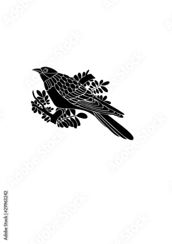 cuckoo vector photo