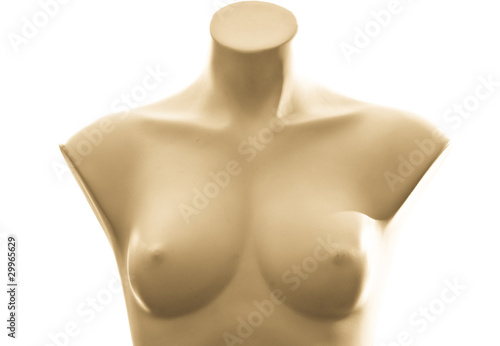 Sculpted Woman Upper Torso Mannequin