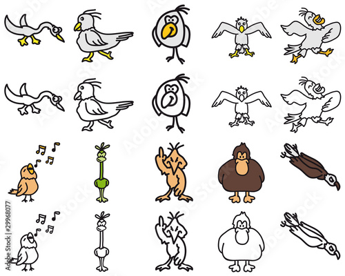 Birds 1