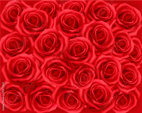 Background with red roses. Vector illustration.