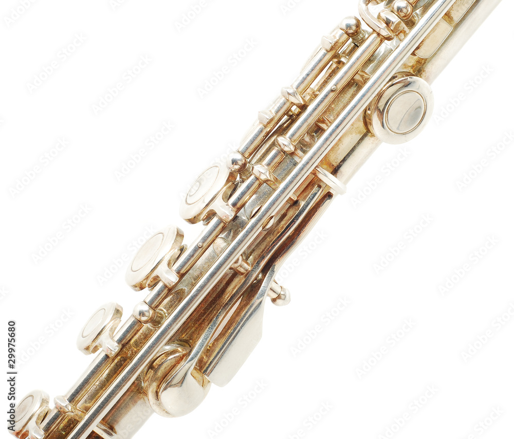 Obraz premium flute