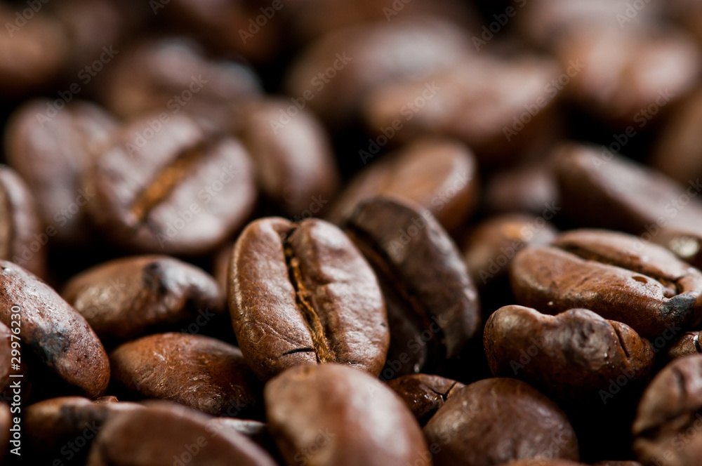 Fototapeta premium coffee beans texture