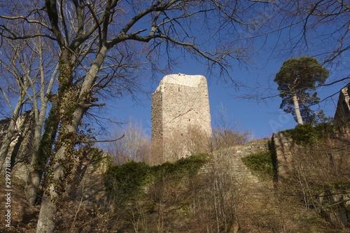 château du landsberg en alsace photo