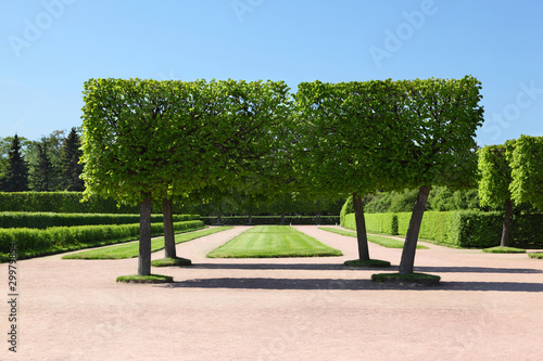 Landscape park of Peterhof, Saint-Petersburg, Russia photo