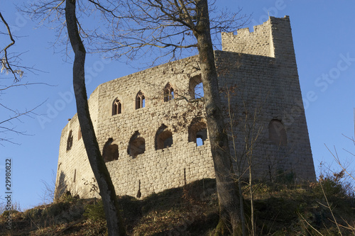 château du spesbourg en alsace photo