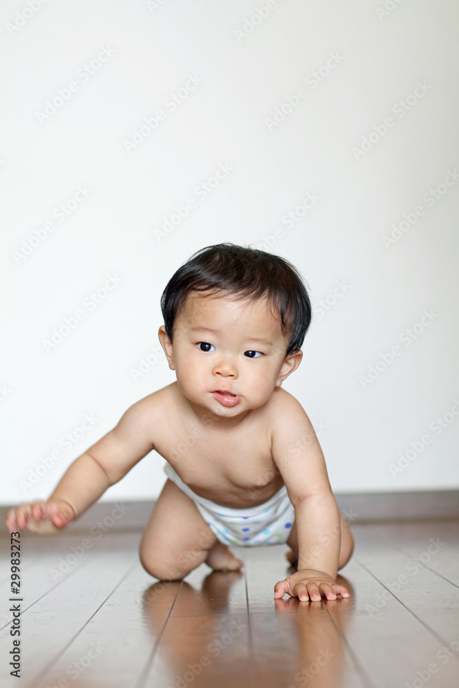 ハイハイする赤ちゃん ハイハイする赤ちゃん