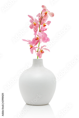 Pink orchid in white vase © JRP Studio