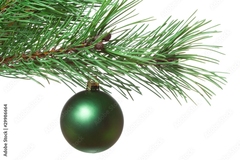 Fir-twig with christmas ball Fir-twig with christmas ball