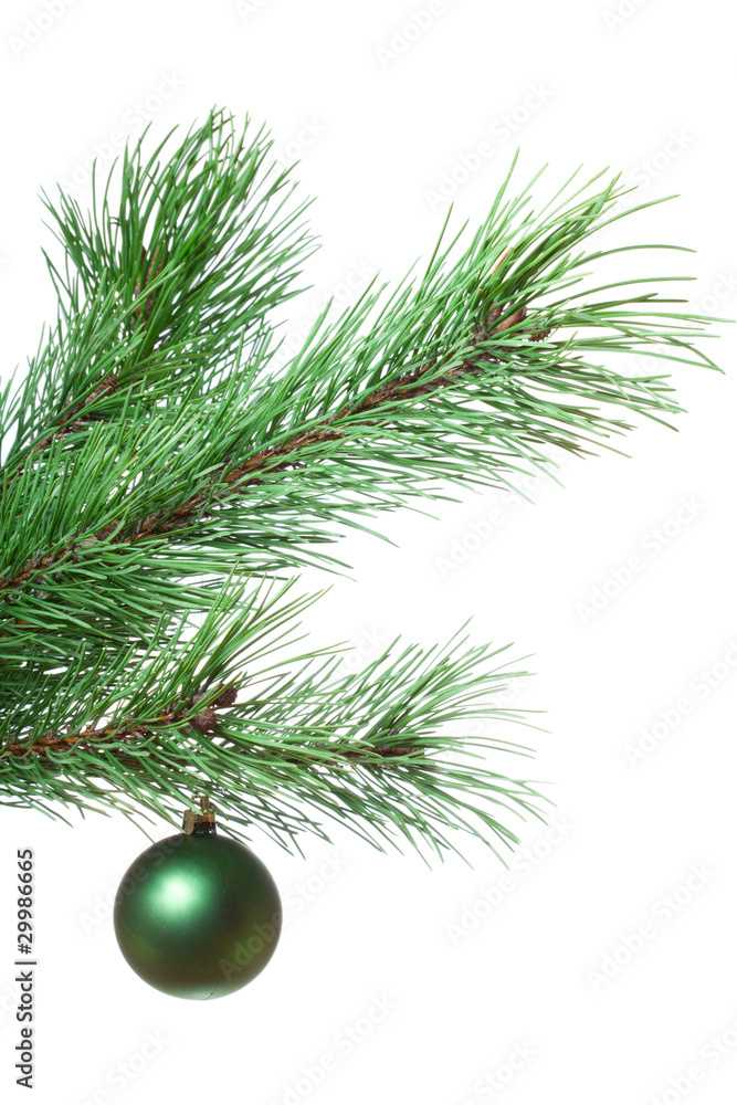Fir-twig with christmas ball Fir-twig with christmas ball