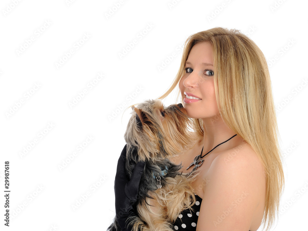 Beautiful blong girl holding small cute york terrier dog. isolat Beautiful blong girl holding small cute york terrier dog. isolat