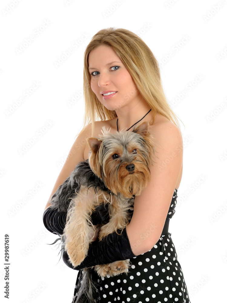 Beautiful blong girl holding small cute york terrier dog. isolat Beautiful blong girl holding small cute york terrier dog. isolat