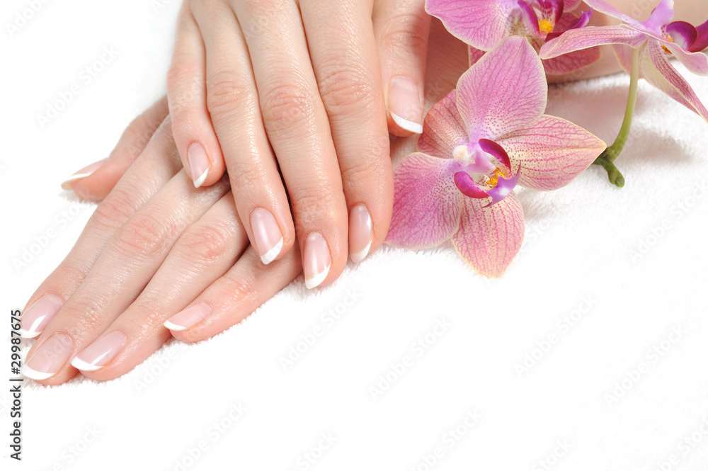 Beautiful hand with perfect nail french manicure and purple orch Beautiful hand with perfect nail french manicure and purple orch