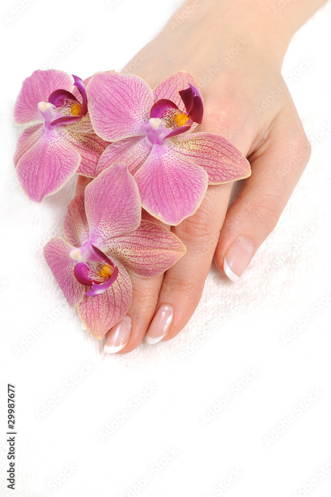 Beautiful hand with perfect nail french manicure and purple orch Beautiful hand with perfect nail french manicure and purple orch