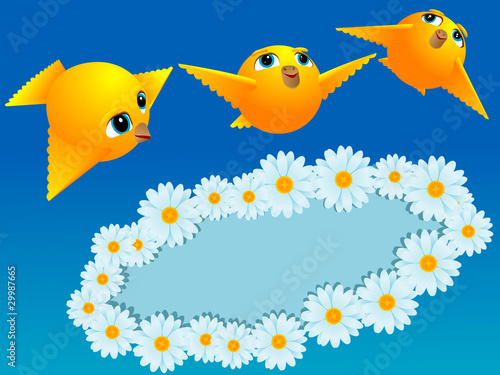 camomiles and canaries