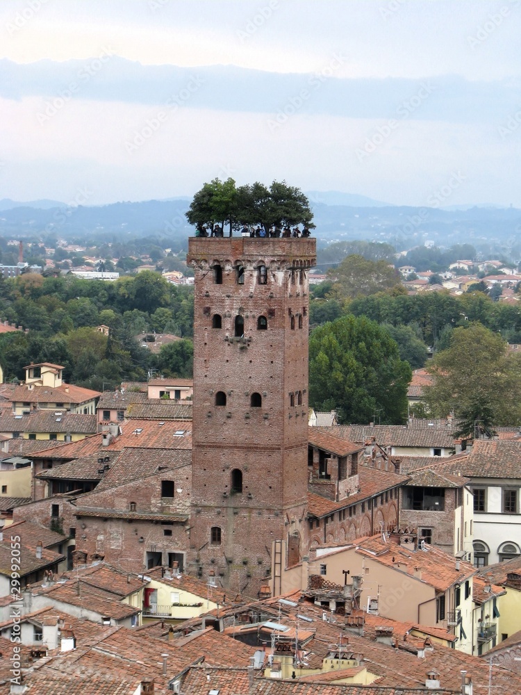 Aerial view of Guinigi Tower, Lucca city, Tuscany, Italy.