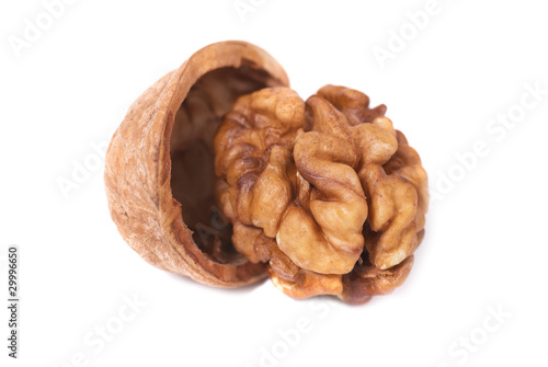 Walnut and shell