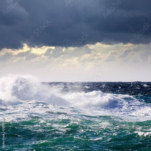 Fototapeta Naklejka Na Ścianę i Meble -  High sea wave during storm