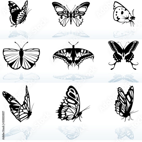 Butterfly Silhouettes - col...