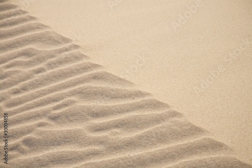 sand of dune texture