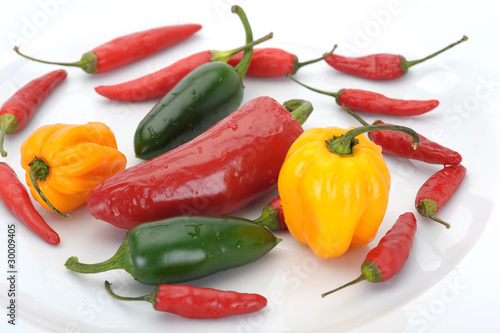Foto verschiedene Chilisorten