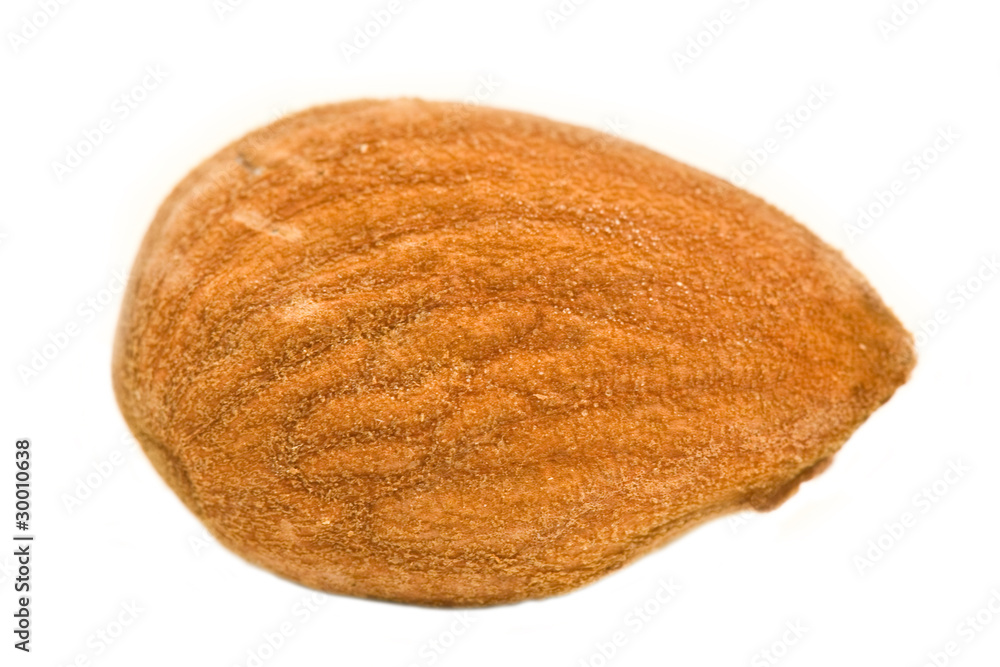 mandorla sgusciata mandorla sgusciata