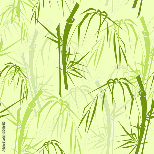 bamboo seamless pattern