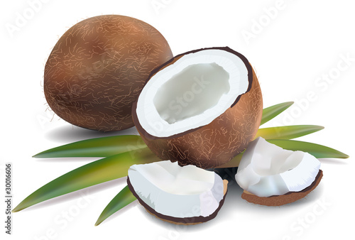 Coconut with leaves