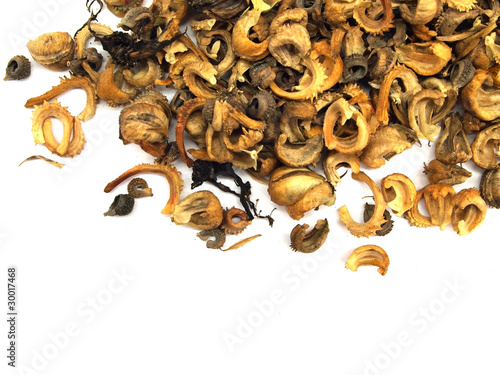 calendula seed