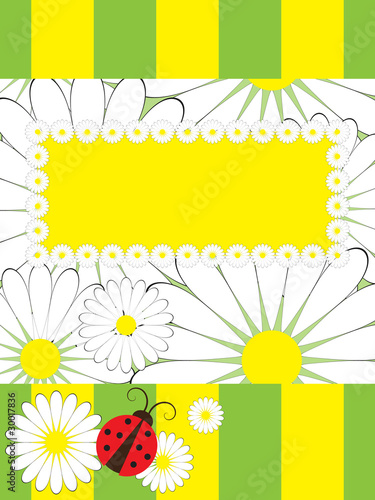 Greeting card with ladybird and chamomile