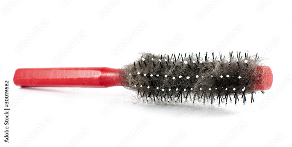 Hairbrush
