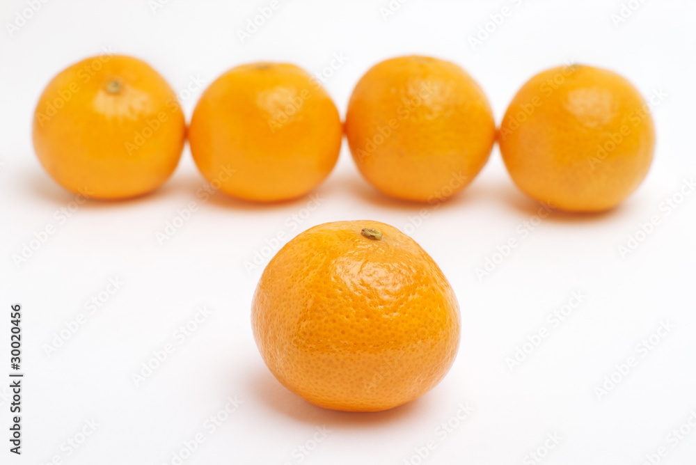 Tangerine in front in focus with blurred row of mandarins Tangerine in front in focus with blurred row of mandarins
