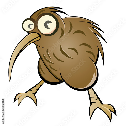 vogel cartoon kiwi