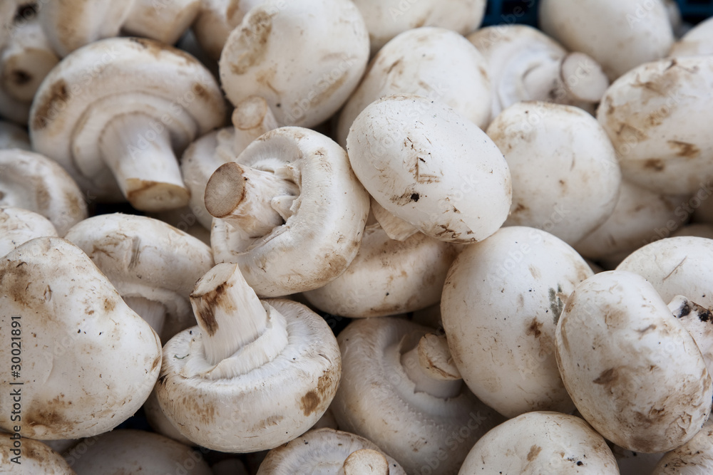 Mushrooms for sale on market stall Mushrooms for sale on market stall