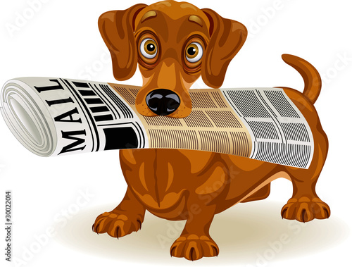 Cute dog holding the morning newspaper in his mouth