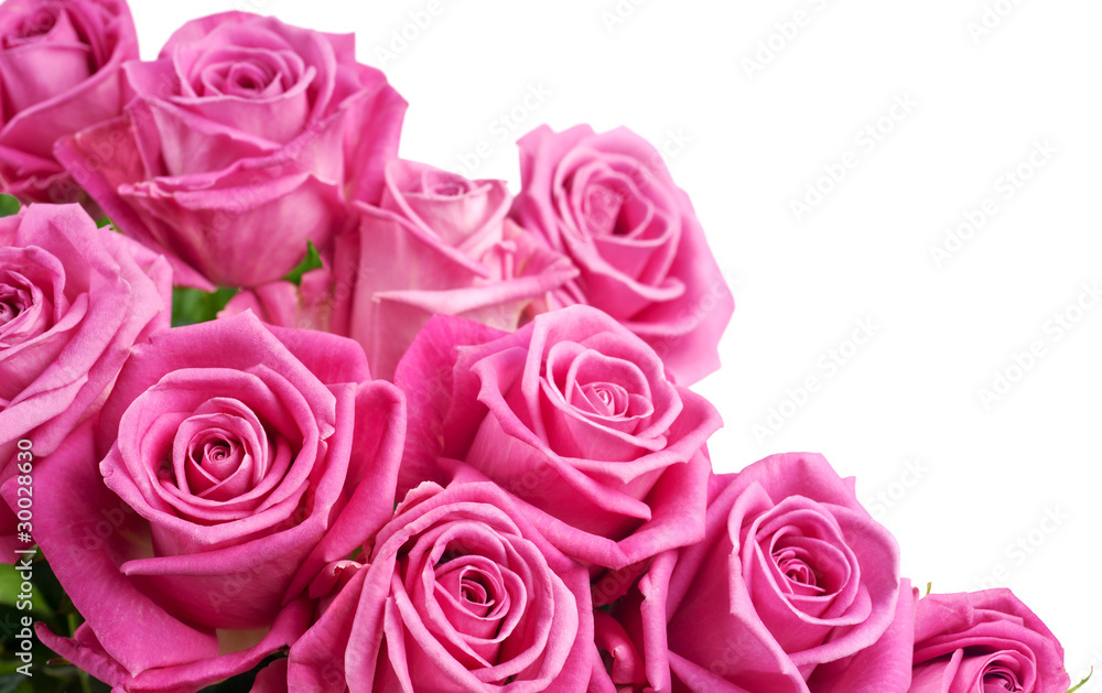 Pink roses corner Pink roses corner