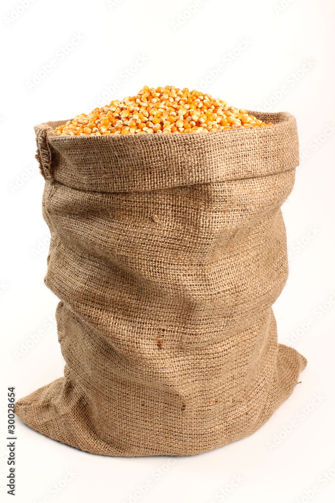 saco lleno de maíz sobre un fondo blanco foto de Stock | Adobe Stock